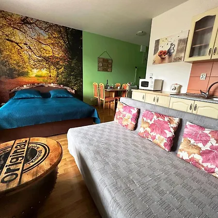 Apartments Liptov City *